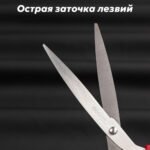 Ножницы DELI "M611", 210 мм, нержавеющая сталь, пластиковые ручки, ассорти — изображение 2