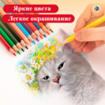 Карандаши цветные Deli "ColoRun", 12 цветов, дерево, картон — изображение 6