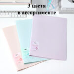 Папка с файлами DELI "Colorful", на 30 вкладышей, ассорти — изображение 4