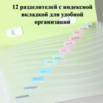 Папка-портфель DELI "LonGreen", А4, 13 отделений, 0,75 мм, ассорти — изображение 4