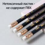 Карандаш DELI "Scribe", НВ, шестигранный корпус, дерево, с ластиком, темно-синий — изображение 2