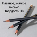 Карандаш DELI "Scribe", НВ, шестигранный корпус, дерево, с ластиком, темно-синий — изображение 4