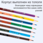 Карандаши цветные Deli "ColoRun", двухсторонние, 12 штук, 24 цвета, дерево, картон — изображение 3