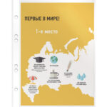 Файл-вкладыш Бюрократ Премиум, формат А5, 30 мкм 100 штук в упаковке — изображение 4