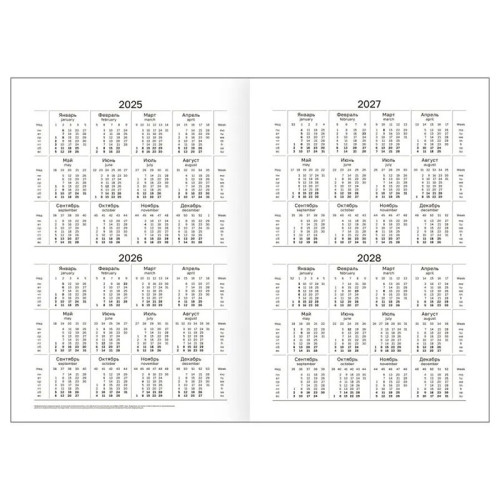 eb60e75be4dc11f0acbc00155d01a100_e6c0e1ede4e011f0acbc00155d01a100-500x500-1 Ежедневник BG "БУМВИНИЛ" А5, недатированный, 160 листов, черный — изображение 1
